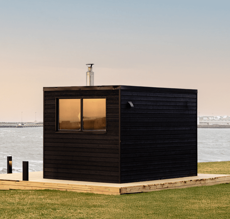 Sauna stove with steam